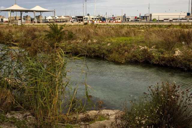 Bari, limpidi torrenti e uccelli acquatici: alla scoperta della condannata Ansa di Marisabella